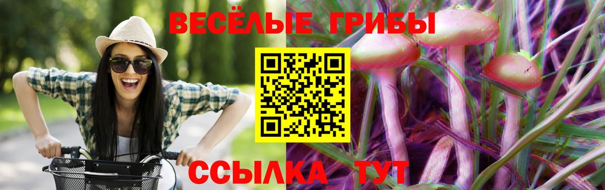 Галлюциногенные грибы мицелий  Вход с VPN  Вологда 